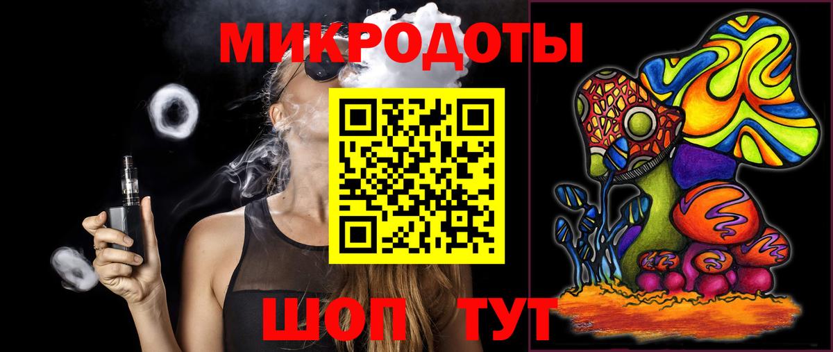 Курчалой  Псилоцибиновые грибы Psilocybine cubensis  Вход с VPN 